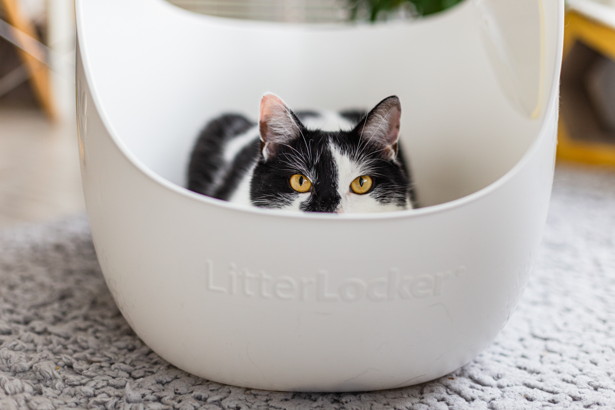 Kuweta dla kota Litter Locker – nasze wrażenia