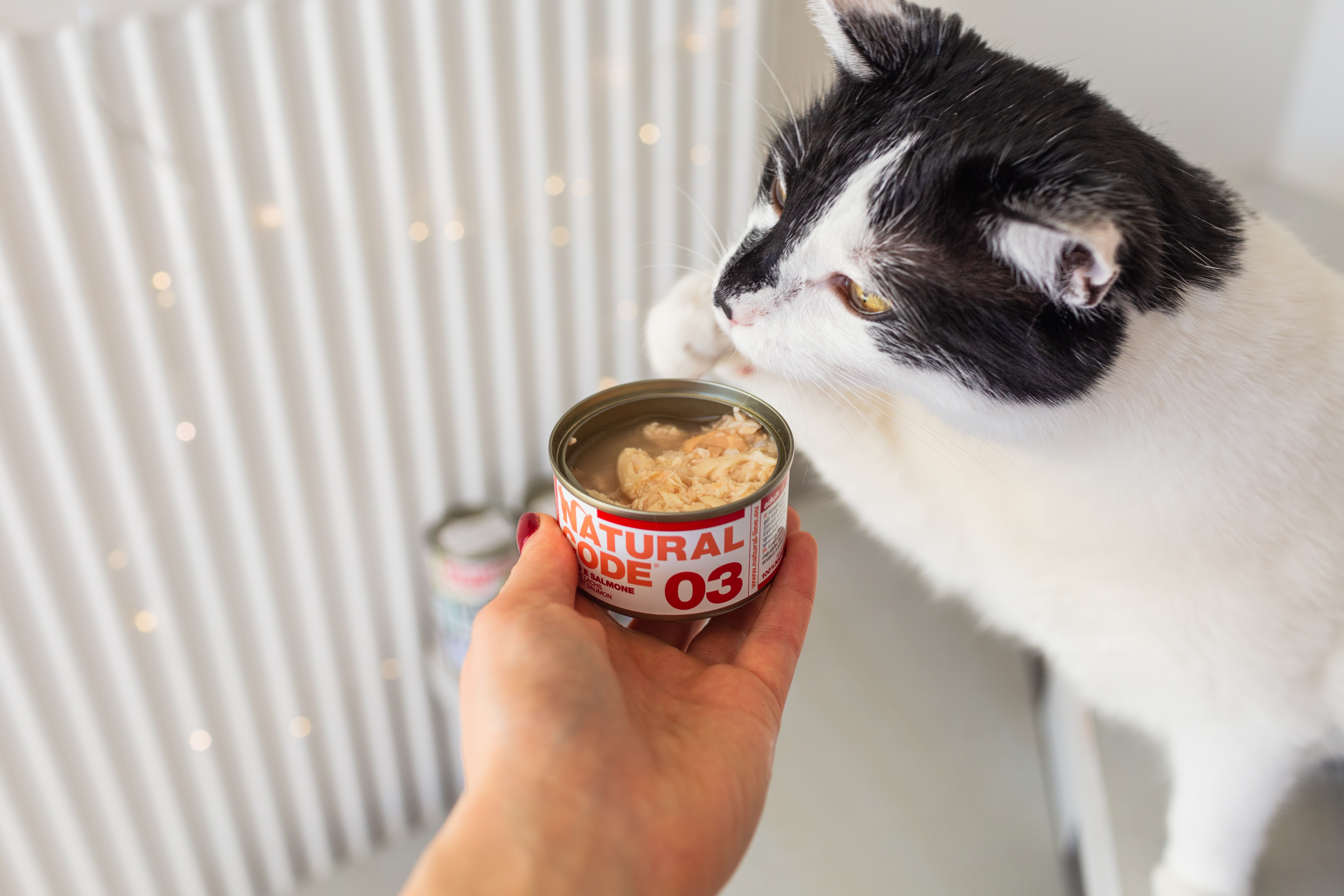 Karma dla kota Natural Code, czyli jaki smak dziś wybierasz?