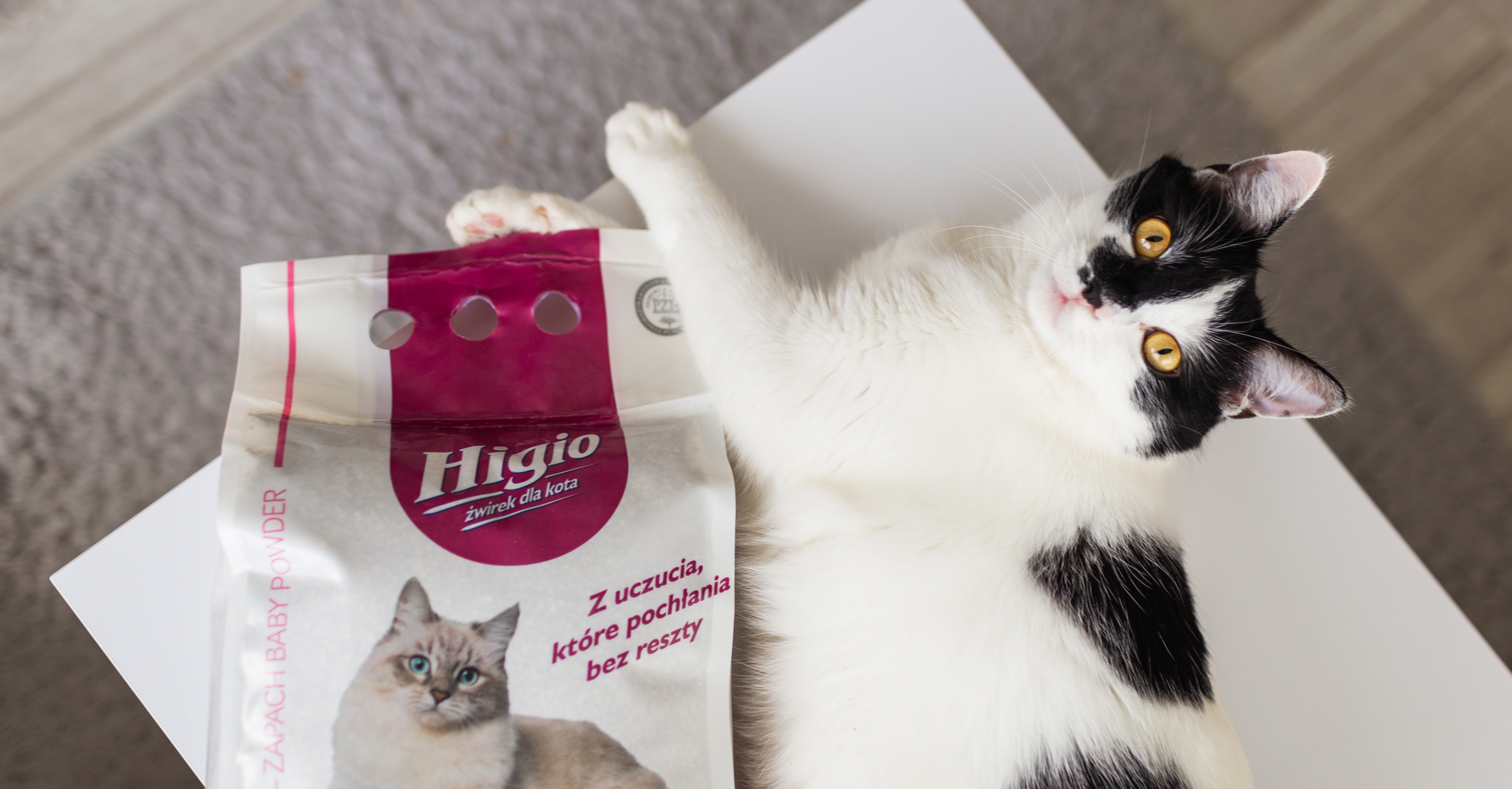 Żwirek bentonitowy dla kota od Higio – nasze odczucia