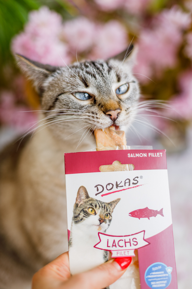 Przysmaki dla kota Dokas 