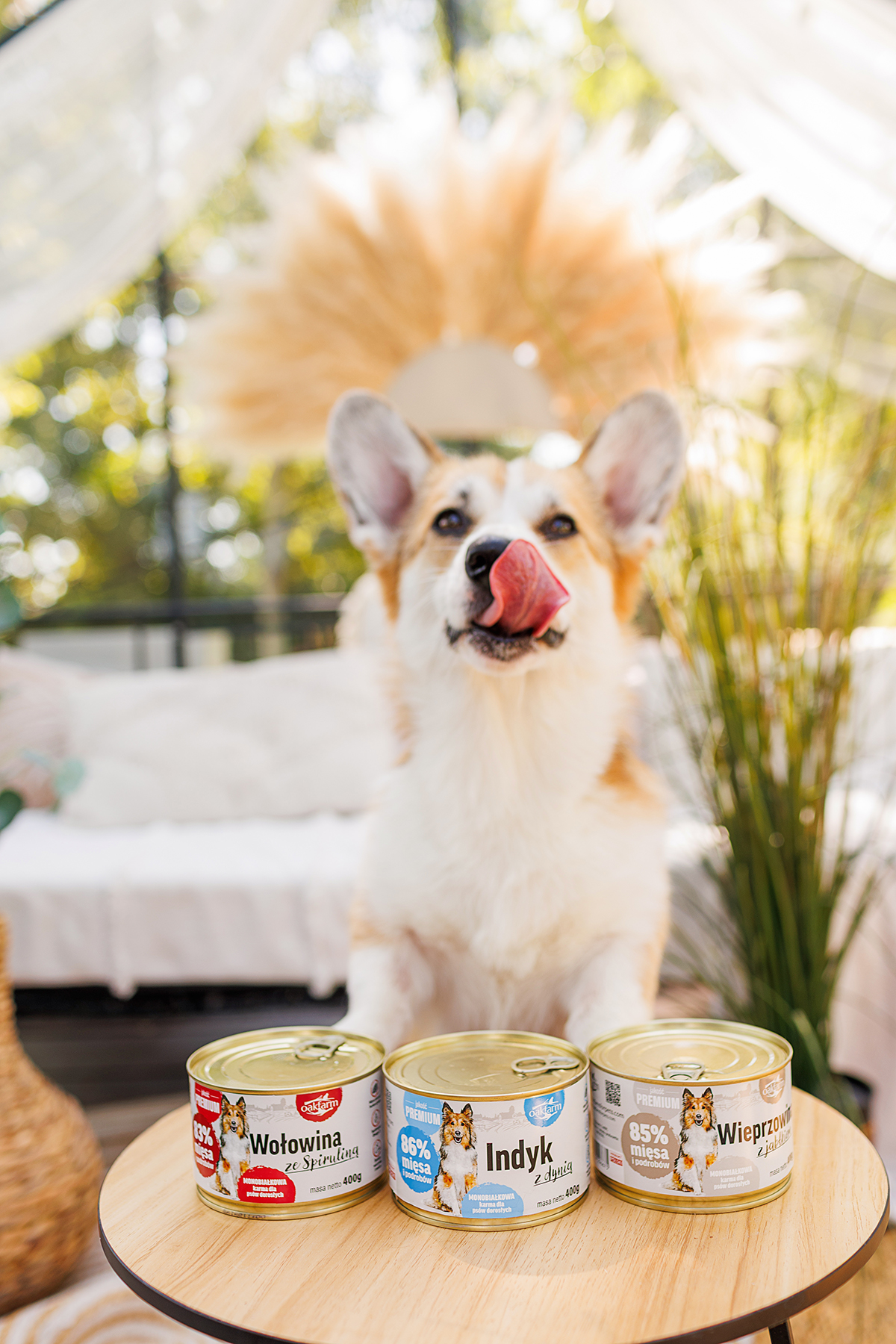 Fotografia produktowa ze zwierzętami